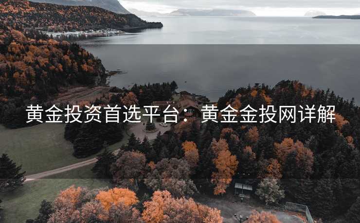 黄金投资首选平台：黄金金投网详解