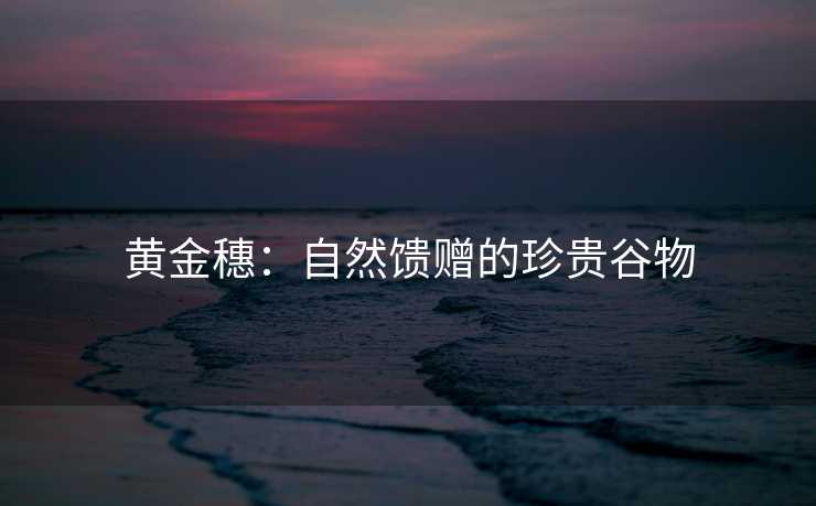 黄金穗：自然馈赠的珍贵谷物