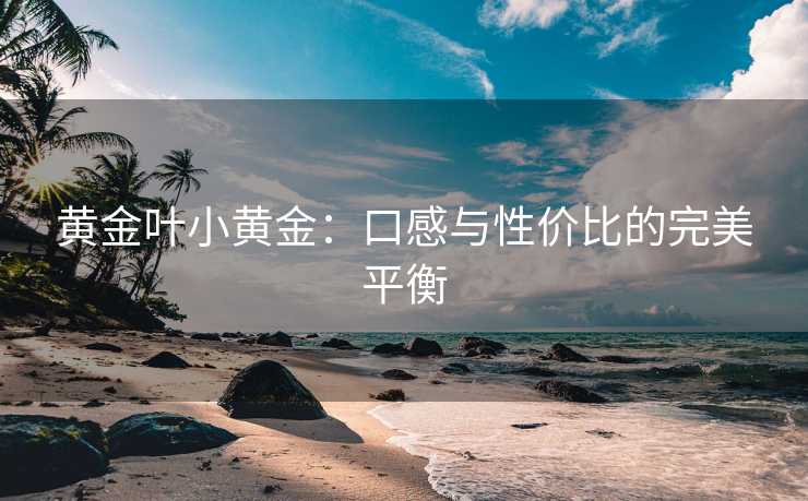 黄金叶小黄金：口感与性价比的完美平衡