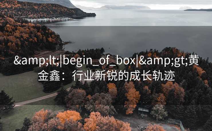 &lt;|begin_of_box|&gt;黄金鑫：行业新锐的成长轨迹